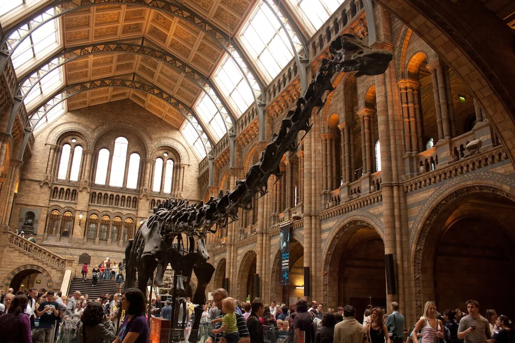 Foto del Museo de Historia Natural de Londres