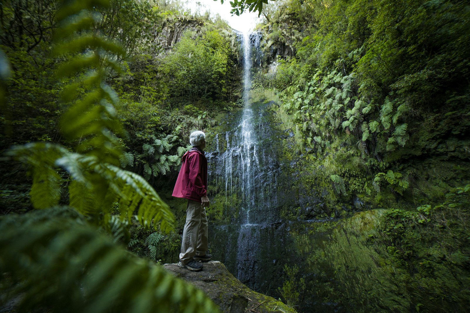 Cascada en la levada do Caldeirão Verde, en Madeira