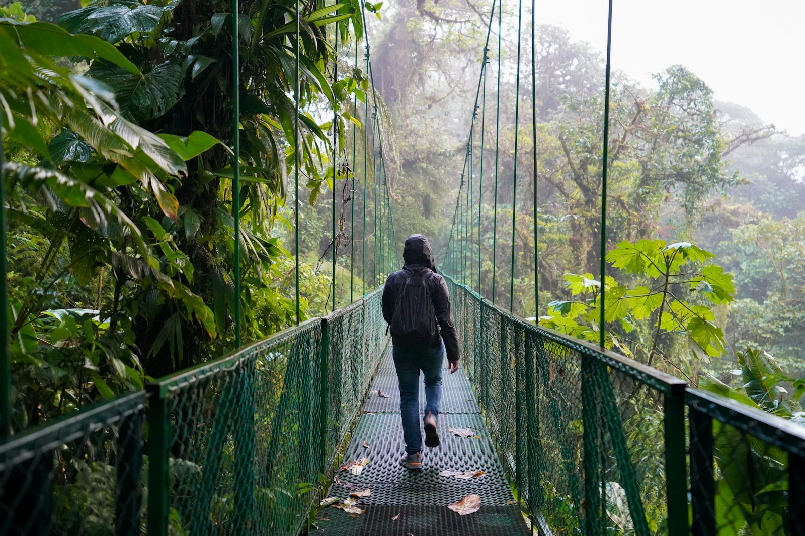 Puente colgante en el bosque de Costa Rica
